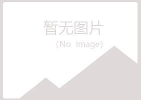 河池梦琪能源有限公司